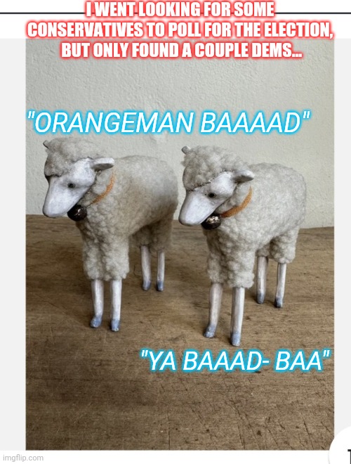 Dem Simple Sheeple | I WENT LOOKING FOR SOME CONSERVATIVES TO POLL FOR THE ELECTION,  BUT ONLY FOUND A COUPLE DEMS... "ORANGEMAN BAAAAD"; "YA BAAAD- BAA" | image tagged in libtards,finished,vote,republican party,voting,president trump | made w/ Imgflip meme maker