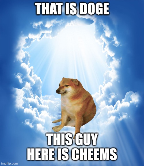 Heaven | THAT IS DOGE THIS GUY HERE IS CHEEMS | image tagged in heaven | made w/ Imgflip meme maker