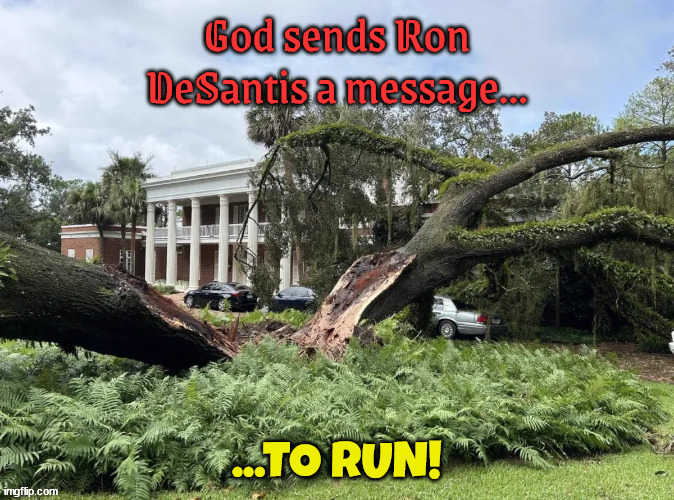 DeSantis gets a message from God | image tagged in ron desatis,hurricane,idalia,message from god,timber,florida | made w/ Imgflip meme maker