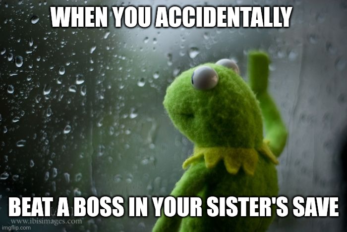 I'm sorry sis :( | WHEN YOU ACCIDENTALLY; BEAT A BOSS IN YOUR SISTER'S SAVE | image tagged in kermit window | made w/ Imgflip meme maker