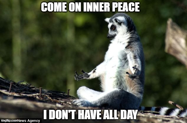 Meditating lemur | COME ON INNER PEACE; I DON'T HAVE ALL DAY | image tagged in meditating lemur | made w/ Imgflip meme maker