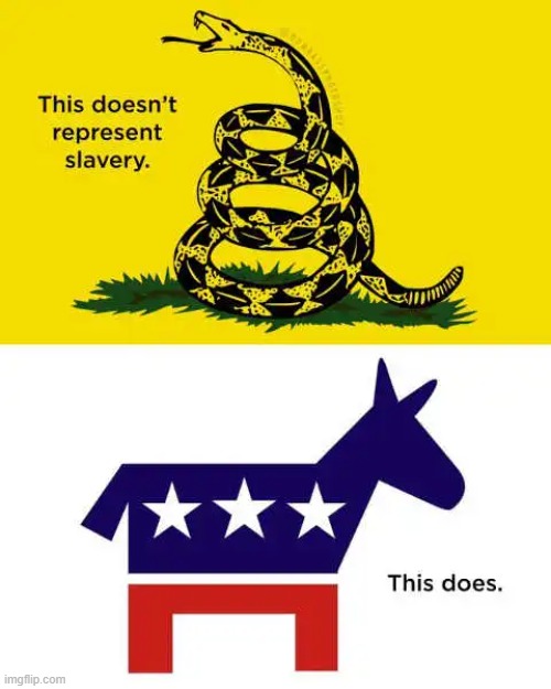 party of slavery talk to the democrats about that!! | image tagged in gadsden flag,democrats,slavery,donkey | made w/ Imgflip meme maker
