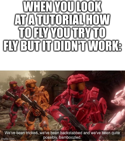 true lol | WHEN YOU LOOK AT A TUTORIAL HOW TO FLY YOU TRY TO FLY BUT IT DIDN'T WORK: | image tagged in we've been tricked | made w/ Imgflip meme maker