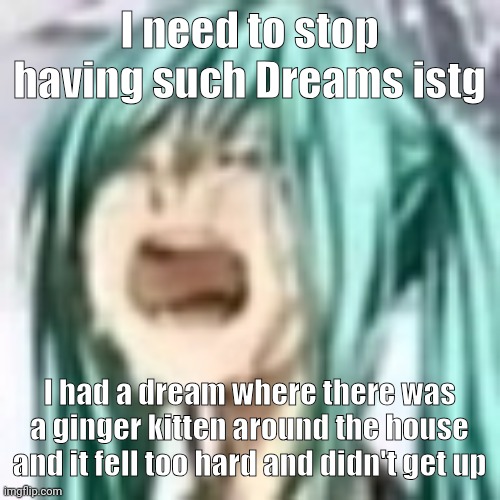 I fell asleep right after making this img | I need to stop having such Dreams istg; I had a dream where there was a ginger kitten around the house and it fell too hard and didn't get up | image tagged in miku depression | made w/ Imgflip meme maker