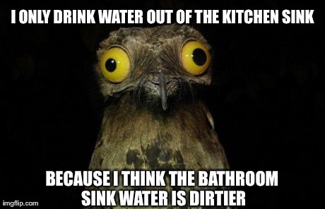 Weird Stuff I Do Potoo Meme | I ONLY DRINK WATER OUT OF THE KITCHEN SINK BECAUSE I THINK THE BATHROOM SINK WATER IS DIRTIER | image tagged in memes,weird stuff i do potoo,AdviceAnimals | made w/ Imgflip meme maker