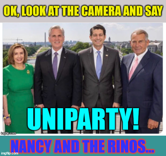 NANCY AND THE RINOS... | made w/ Imgflip meme maker