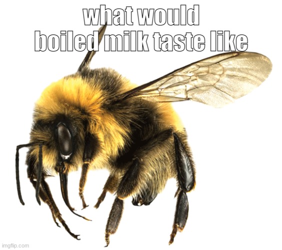 bumblebee | what would boiled milk taste like | image tagged in bumblebee | made w/ Imgflip meme maker