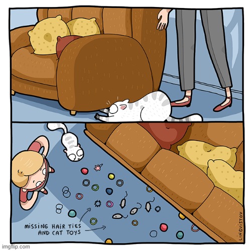 A Cat's Way Of Thinking | image tagged in memes,comics/cartoons,cats,yes,i did it,toys | made w/ Imgflip meme maker