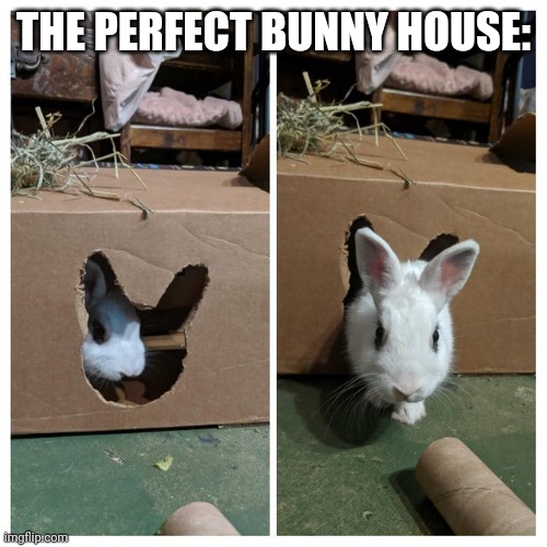 MAKE ROOM FOR THOSE EARS | THE PERFECT BUNNY HOUSE: | image tagged in bunny,rabbit | made w/ Imgflip meme maker