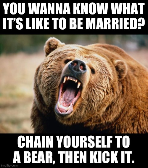 Marriage | YOU WANNA KNOW WHAT IT’S LIKE TO BE MARRIED? CHAIN YOURSELF TO A BEAR, THEN KICK IT. | image tagged in dad joke | made w/ Imgflip meme maker