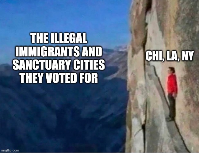 Cliff | THE ILLEGAL IMMIGRANTS AND SANCTUARY CITIES THEY VOTED FOR; CHI, LA, NY | image tagged in cliff,funny memes | made w/ Imgflip meme maker