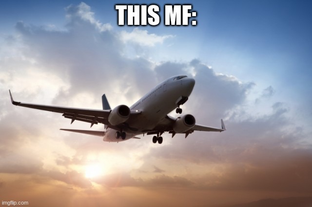 Air plane  | THIS MF: | image tagged in air plane | made w/ Imgflip meme maker