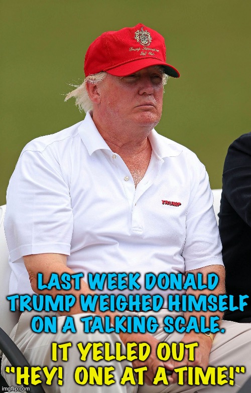 215 pounds, eh? | LAST WEEK DONALD TRUMP WEIGHED HIMSELF ON A TALKING SCALE. IT YELLED OUT "HEY!  ONE AT A TIME!" | image tagged in fat trumps | made w/ Imgflip meme maker