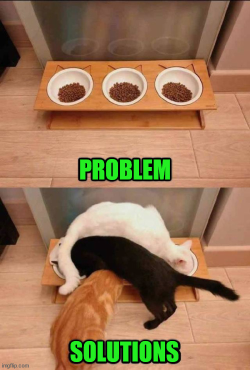 PROBLEM; SOLUTIONS | image tagged in cats | made w/ Imgflip meme maker