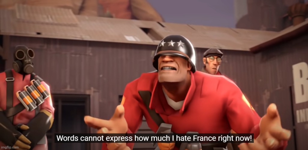 Words cannot express how much I hate France right now! | image tagged in words cannot express how much i hate france right now | made w/ Imgflip meme maker