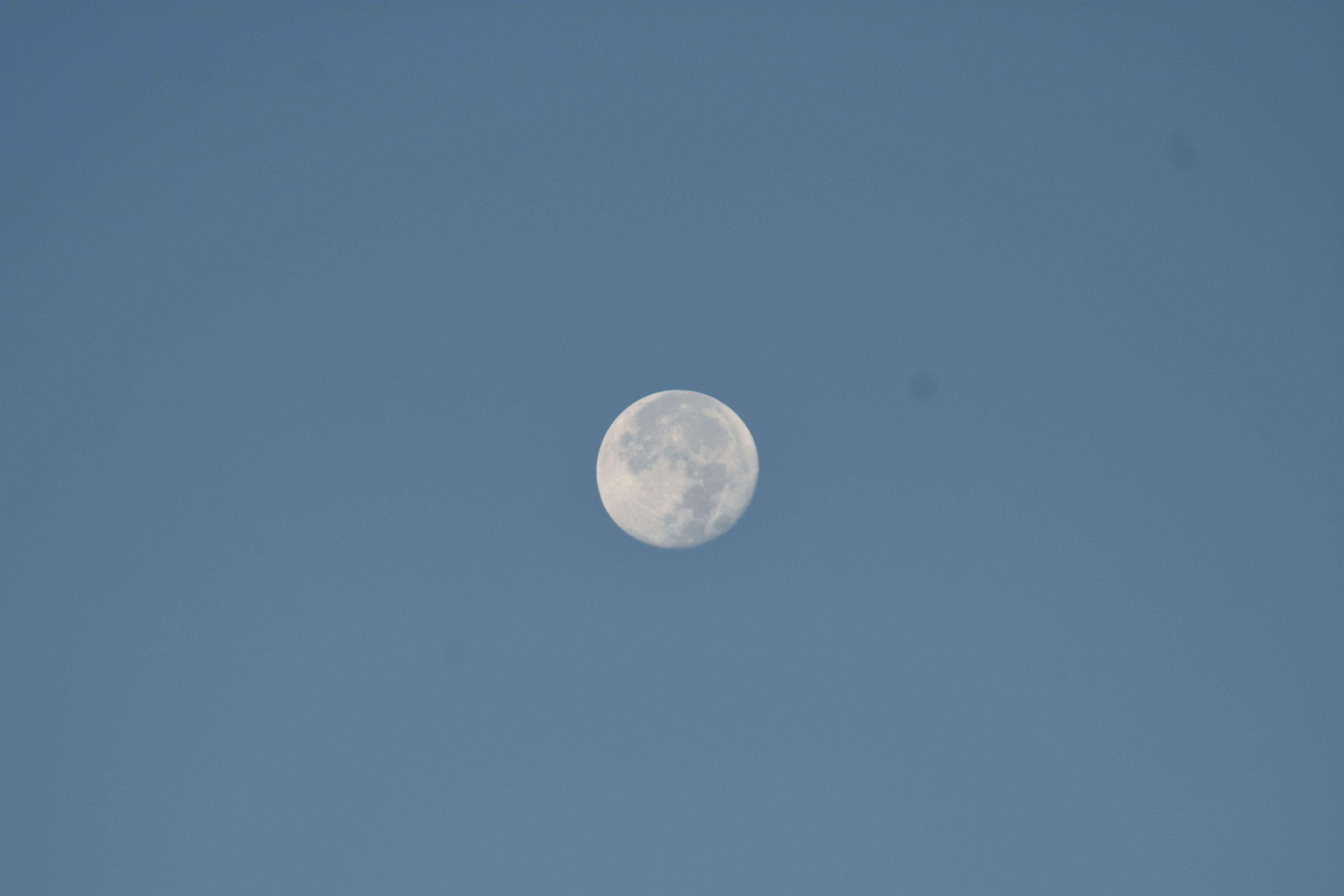 This mornings blue moon | image tagged in blue moon,morning moon,kewlew | made w/ Imgflip meme maker
