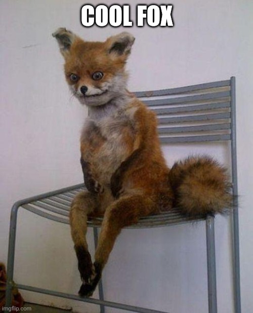 Tired fox | COOL FOX | image tagged in tired fox | made w/ Imgflip meme maker