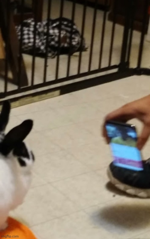 har har har har har | made w/ Imgflip meme maker