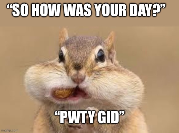 Chipmunk | “SO HOW WAS YOUR DAY?” “PWTY GID” | image tagged in chipmunk | made w/ Imgflip meme maker