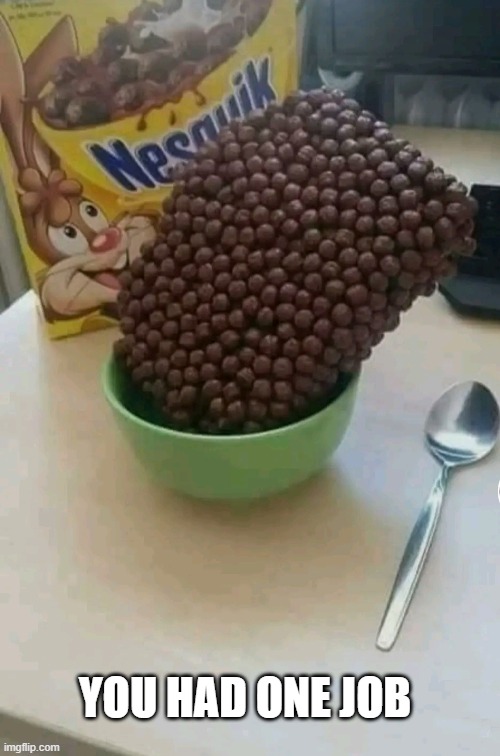 YOU HAD ONE JOB | image tagged in you had one job | made w/ Imgflip meme maker