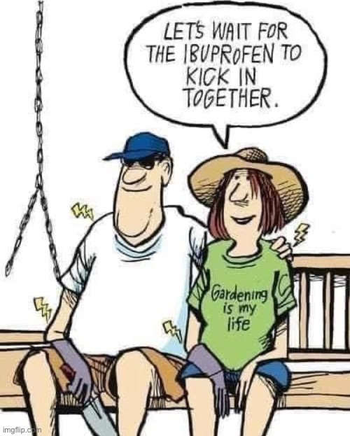 Gardening together | image tagged in gardening,lets wait,ibuprofen kick in,start the garden,comics | made w/ Imgflip meme maker