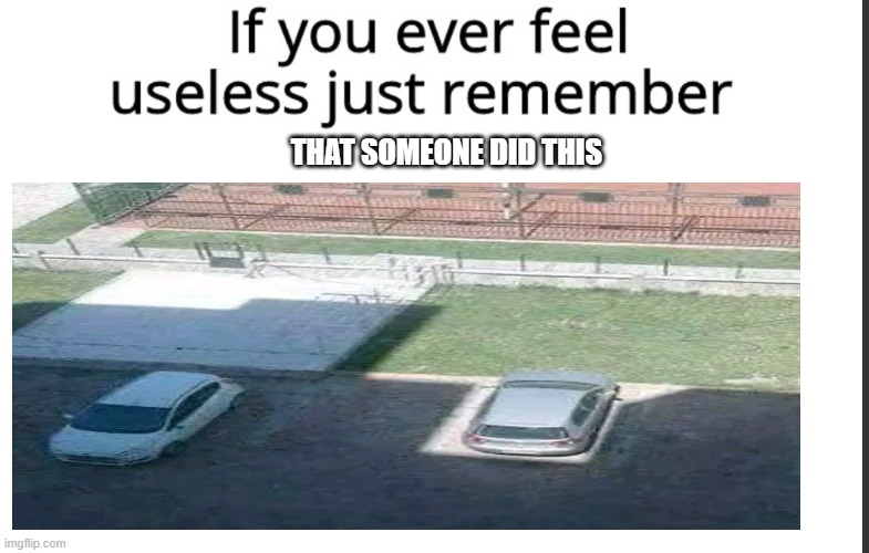 If you ever feel useless remember this | THAT SOMEONE DID THIS | image tagged in if you ever feel useless remember this | made w/ Imgflip meme maker