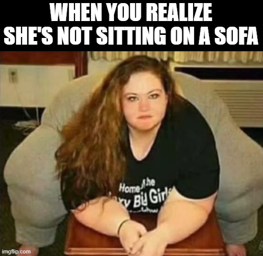 she's not sitting on a sofa | WHEN YOU REALIZE SHE'S NOT SITTING ON A SOFA | image tagged in sofa,memes,funny,fat | made w/ Imgflip meme maker