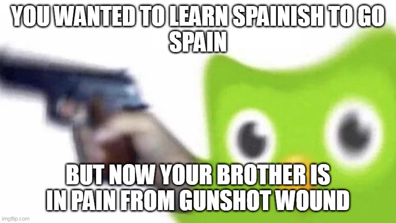 duolingo gun | YOU WANTED TO LEARN SPAINISH TO GO
SPAIN; BUT NOW YOUR BROTHER IS IN PAIN FROM GUNSHOT WOUND | image tagged in duolingo gun | made w/ Imgflip meme maker