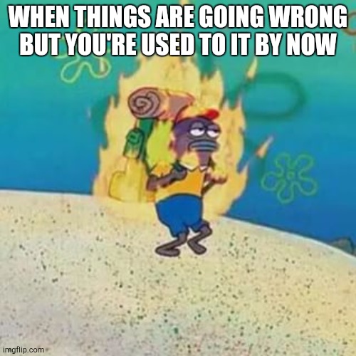 This happened on my birthday this year | WHEN THINGS ARE GOING WRONG BUT YOU'RE USED TO IT BY NOW | image tagged in spongebob on fire | made w/ Imgflip meme maker