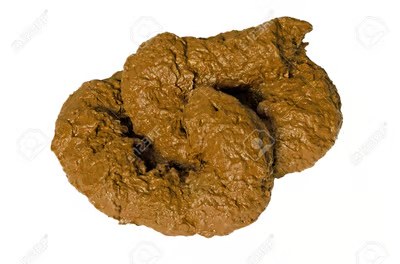 merda Blank Meme Template