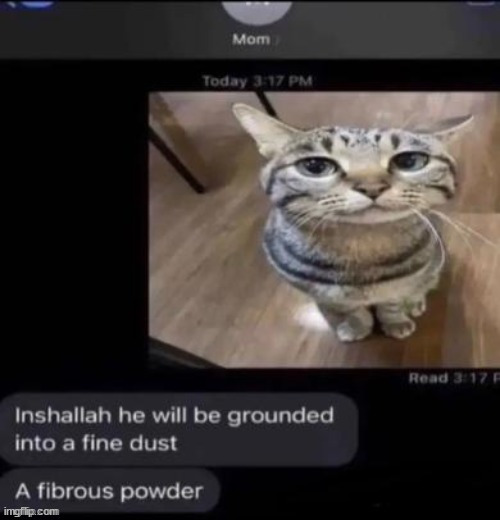 lets fucking go  my memes havent been deleted | made w/ Imgflip meme maker