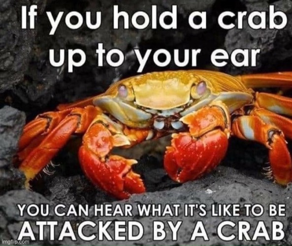 Not my meme but though maybe you guys would like it? :) | image tagged in crab | made w/ Imgflip meme maker