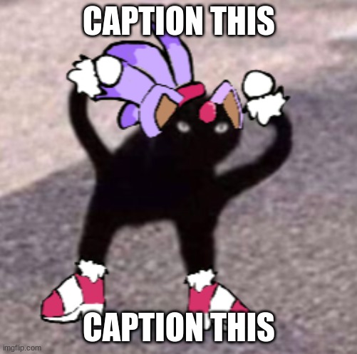 Angry Blaze the cat | CAPTION THIS; CAPTION THIS | image tagged in cat | made w/ Imgflip meme maker