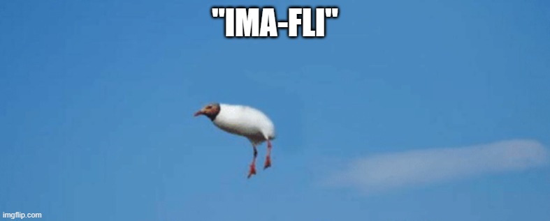 "IMA-FLI" | made w/ Imgflip meme maker