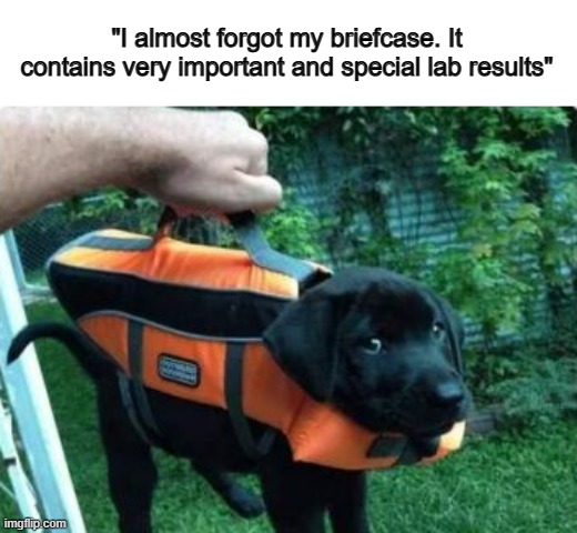 Best pun I've EVER seen :] | "I almost forgot my briefcase. It contains very important and special lab results" | made w/ Imgflip meme maker