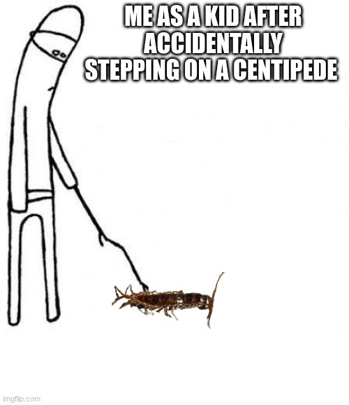 c'mon do something | ME AS A KID AFTER ACCIDENTALLY STEPPING ON A CENTIPEDE | image tagged in c'mon do something | made w/ Imgflip meme maker