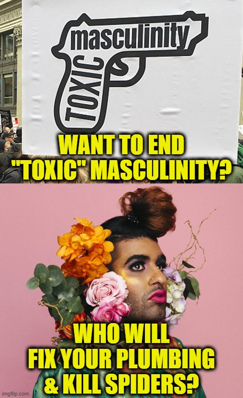 Careful What You Ask For | WANT TO END
"TOXIC" MASCULINITY? WHO WILL
FIX YOUR PLUMBING
& KILL SPIDERS? | image tagged in toxic masculinity | made w/ Imgflip meme maker