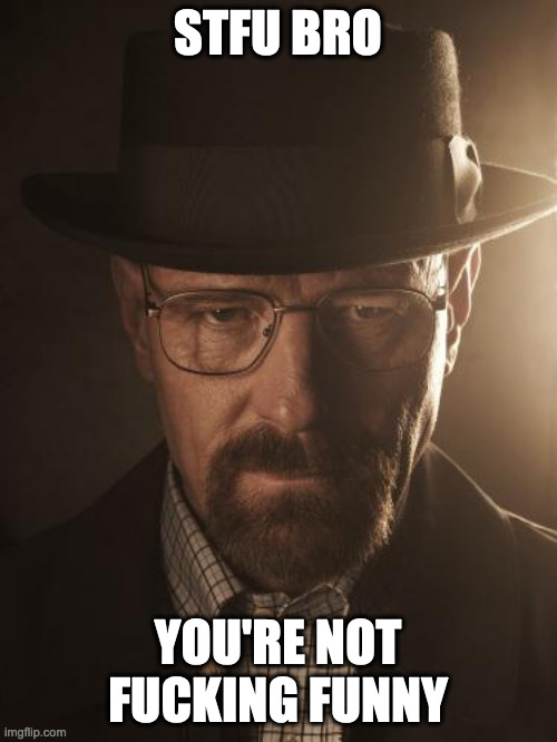 Walter White | STFU BRO YOU'RE NOT FUCKING FUNNY | image tagged in walter white | made w/ Imgflip meme maker