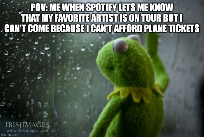 kermit window | POV: ME WHEN SPOTIFY LETS ME KNOW THAT MY FAVORITE ARTIST IS ON TOUR BUT I CAN'T COME BECAUSE I CAN'T AFFORD PLANE TICKETS | image tagged in kermit window | made w/ Imgflip meme maker