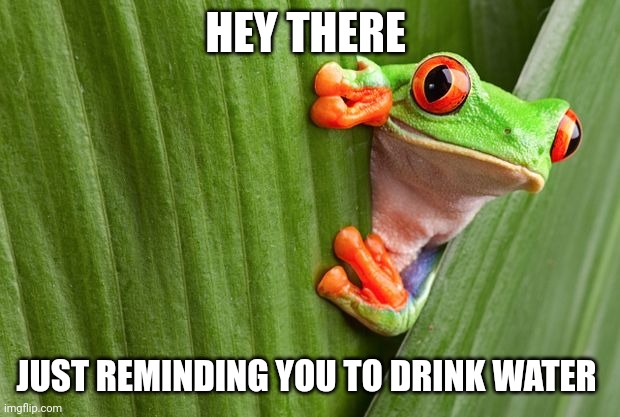 Tree Frog | HEY THERE; JUST REMINDING YOU TO DRINK WATER | image tagged in tree frog | made w/ Imgflip meme maker