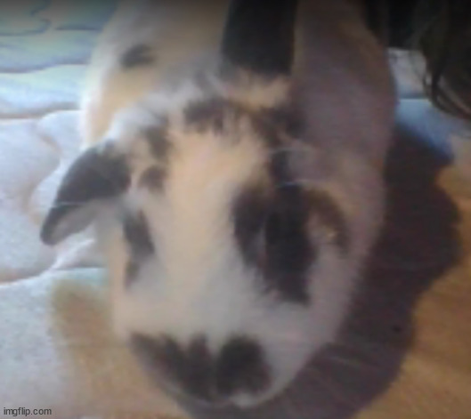 holy shit potat, oj is alive!!!! | made w/ Imgflip meme maker