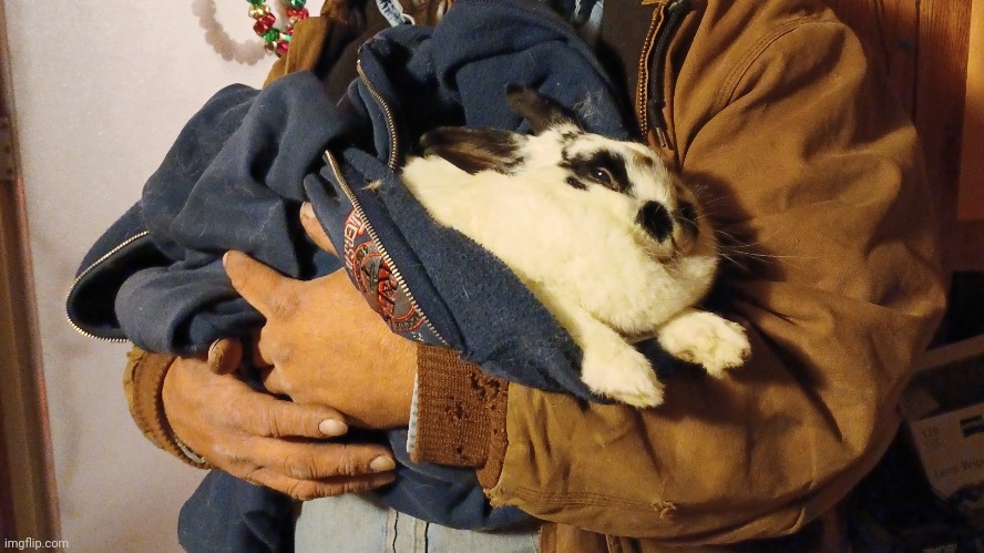 idk if she was dead yet but she was paralysed | made w/ Imgflip meme maker