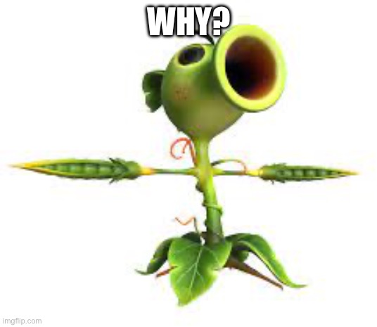 Peashooter | WHY? | image tagged in peashooter | made w/ Imgflip meme maker