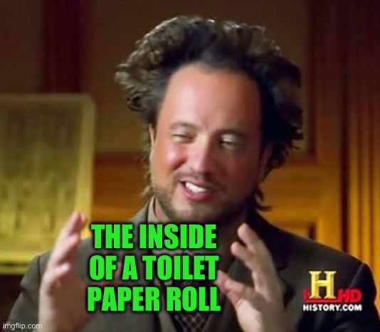 Ancient Aliens Meme | THE INSIDE OF A TOILET PAPER ROLL | image tagged in memes,ancient aliens | made w/ Imgflip meme maker