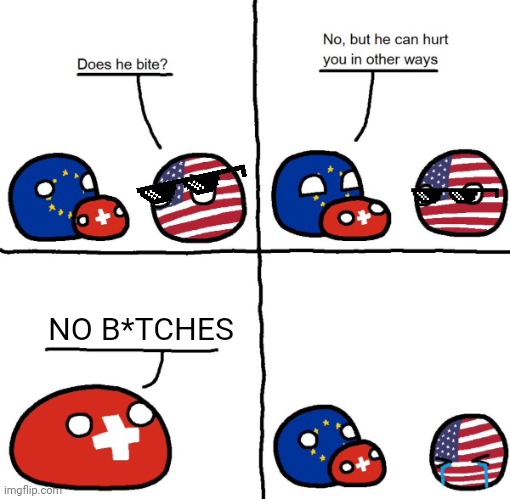 Switzerlandball hurts usa in other ways | NO B*TCHES | image tagged in funny,memes | made w/ Imgflip meme maker