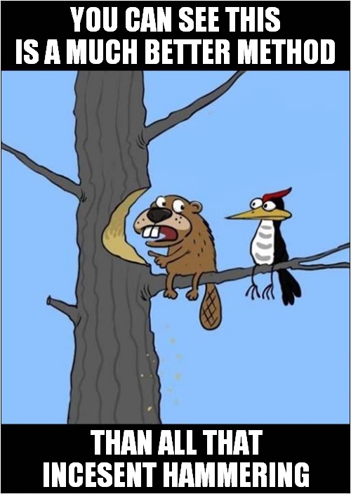 A Quieter Woodland Lesson | YOU CAN SEE THIS IS A MUCH BETTER METHOD; THAN ALL THAT INCESENT HAMMERING | image tagged in beaver,woodpecker,a quiet place | made w/ Imgflip meme maker