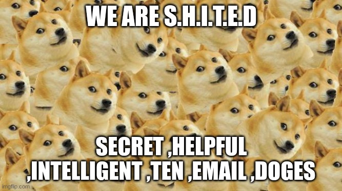 Multi Doge Meme | WE ARE S.H.I.T.E.D; SECRET ,HELPFUL ,INTELLIGENT ,TEN ,EMAIL ,DOGES | image tagged in memes,multi doge,doge | made w/ Imgflip meme maker