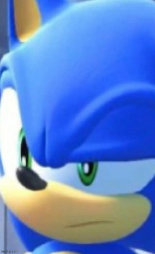 sonic raising eyebrow | image tagged in sonic raising eyebrow | made w/ Imgflip meme maker