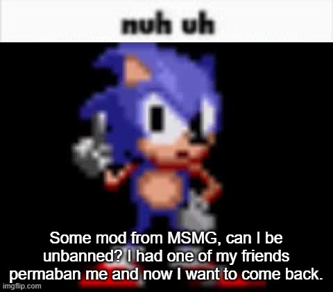 CD Sonic Nuh Uh | Some mod from MSMG, can I be unbanned? I had one of my friends permaban me and now I want to come back. | image tagged in cd sonic nuh uh | made w/ Imgflip meme maker