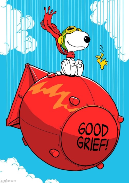 Good grief | image tagged in good grief | made w/ Imgflip meme maker